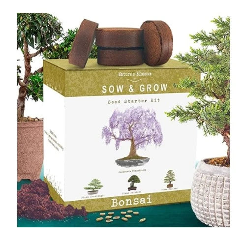 15-gifts-for-the-woman-who-wants-nothing-bonsai-kit