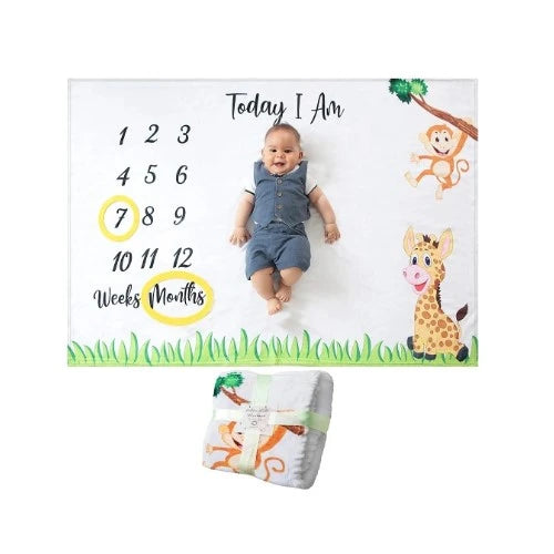 20-giraffe-gifts-baby-monthly-blanket