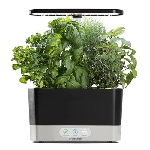 22-70th-birthday-gift-ideas-for-dad-aerogarden