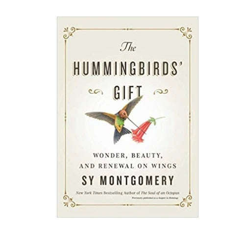 23-hummingbird-gifts-the-hummingbrid