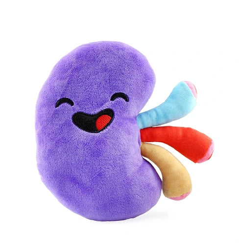 25-nurse-retirement-gifts-kidney-plush