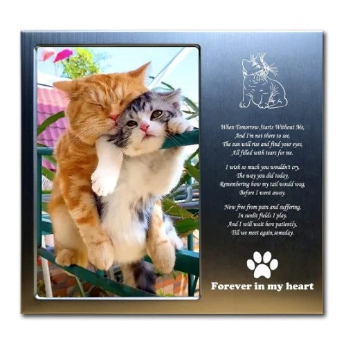 27-gift-for-someone-who-lost-a-pet-cat-frame