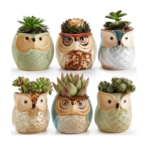 31-best-gifts-for-parents-christmas-owl
