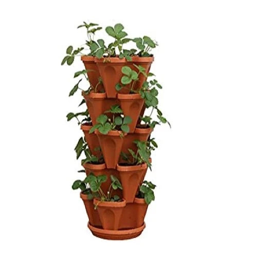 32-80th-birthday-gift-ideas-for-mom-planters