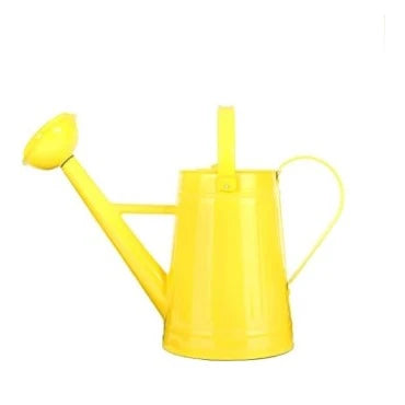 33-70th-birthday-gift-ideas-watering-can