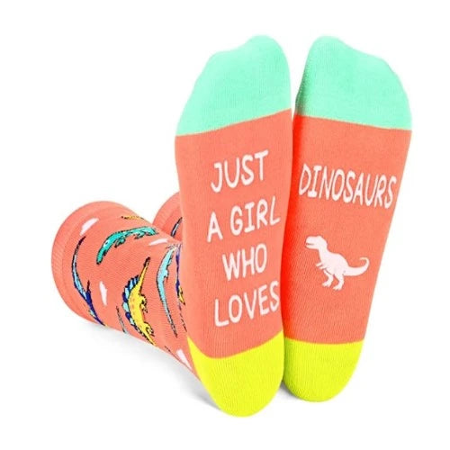 37-dinosaur-gifts-socks