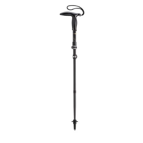 40-70th-birthday-gift-ideas-for-mom-walking-pole