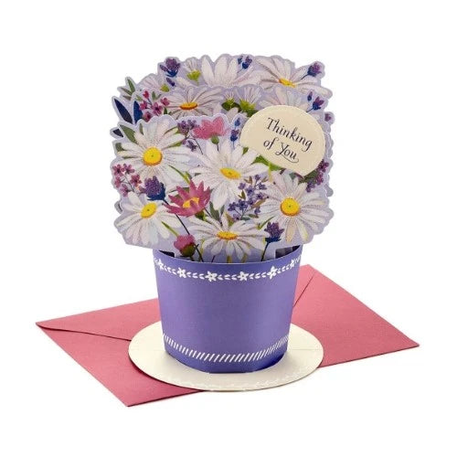 7-get-well-gifts-for-women-pop-up-card