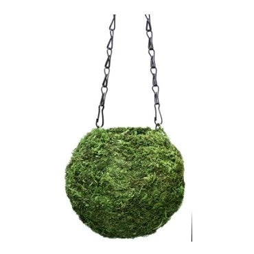 7-gift-for-parents-who-have-everything-super-moss