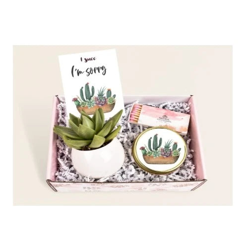 7-im-sorry-gifts-succulent-gift-box