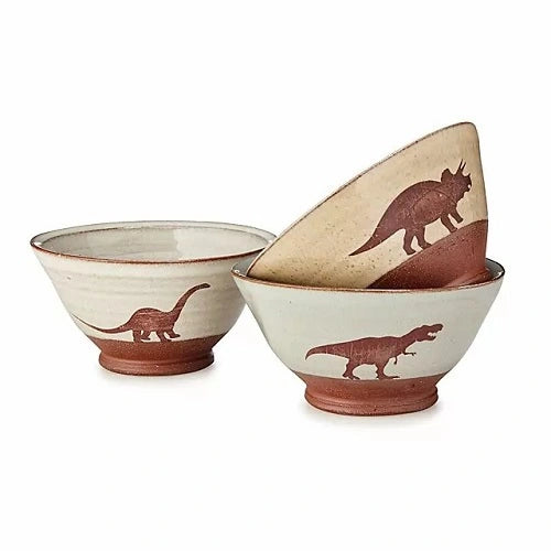 9-dinosaur-gifts-dinosaur-bowls