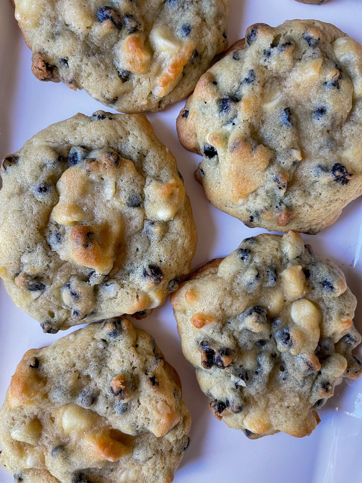 White Chocolate Wild Blueberry Macadamia Nut Cookies — Shop Wyman's