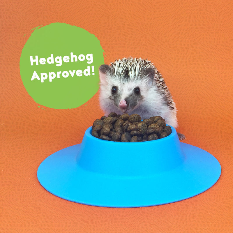 hedgehog pet food