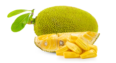 Fun Facts about jackfruit