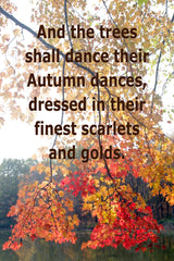 "And the trees shall dance their Autumn dances, dressed in their finest scarlets and golds." Collection image.
