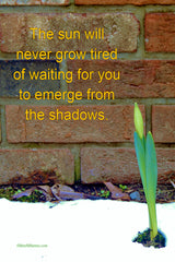 The Sun Will Never Grow Tired of Waiting For You to Emerge from The Shadows image.