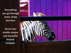 "Everything you go through every stripe you bear. Forms you wholly unique and beautiful beyond compare." Collection image.