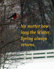 "No matter how long the Winter, Spring always returns." Collection image.
