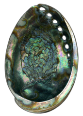 Abalone Shell Collection image.