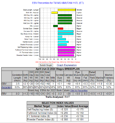 wagyu heifer australian ebv graph