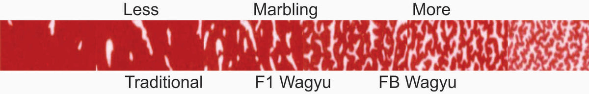 Wagyu Beef Marbling Fat
