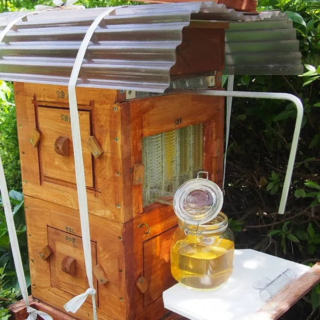 Flow Frames – Half-Size (Japan) - Flow Hive US