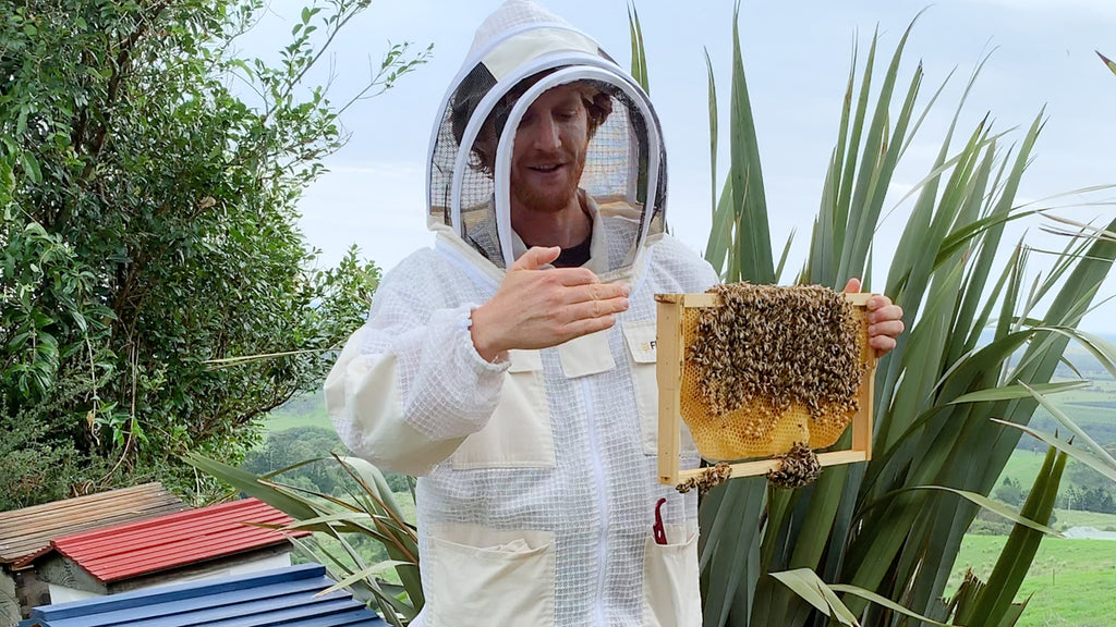 Is Beekeeping Wrong?