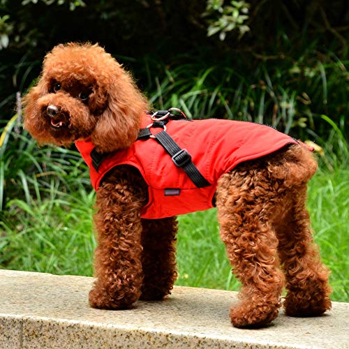 norbi pet warm jacket