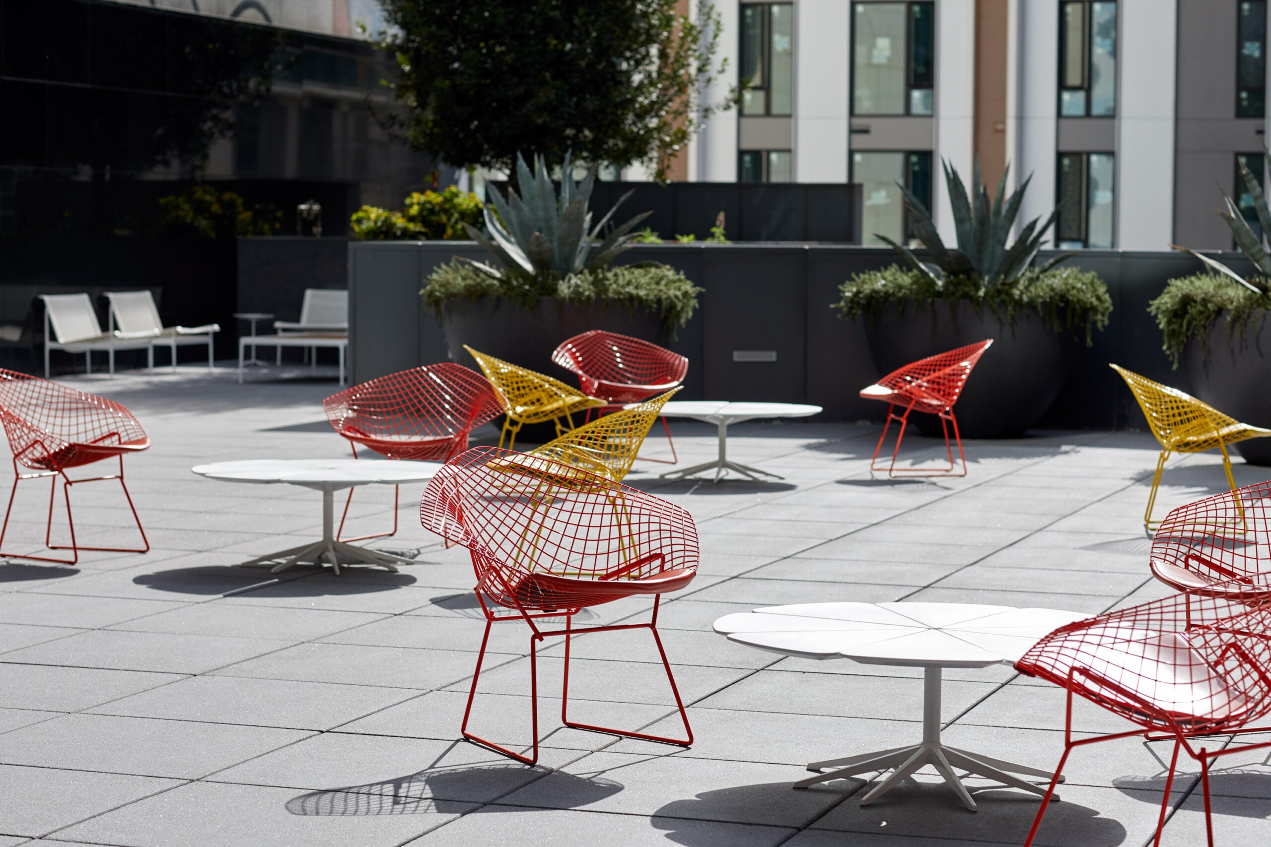 Petal Coffee Table alongside Bertoia Diamond Chairs from Knoll.