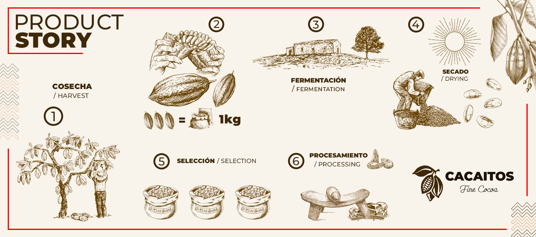 After Harvest Process