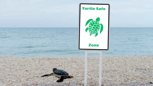 turtle safe lighting