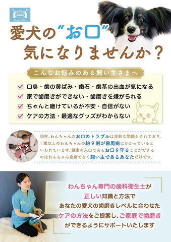 イヌと暮らす 公式 犬トリミングサロンと保護犬猫支援 保育園 ドッグホテル 藤沢市