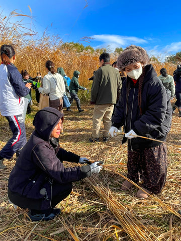 500 DAYS UNTIL EXPO! CONTRIBUTING TO THE SDG’s BY CUTTING REEDS TO BE USED AS FABRIC FOR UNIFORMS FOR THE 2025 KANSAI EXPO