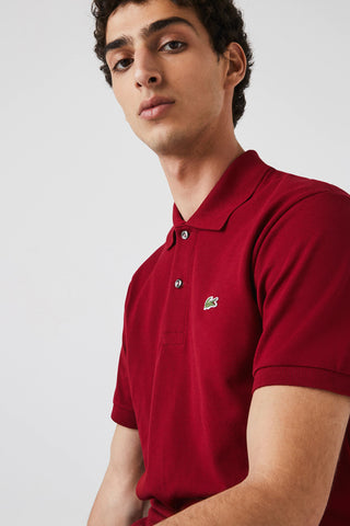 polo lacoste bordo