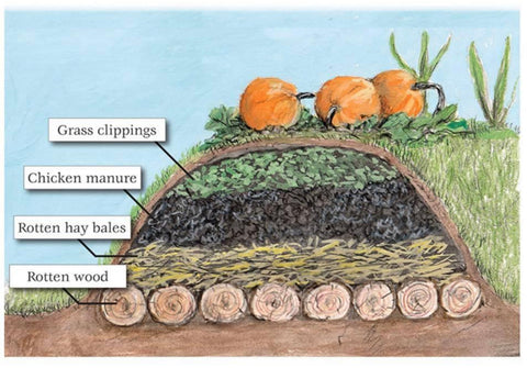 Permaculture