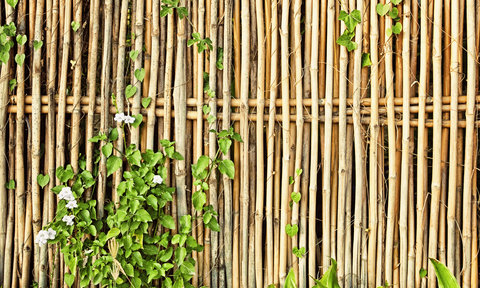 Bamboo fence image