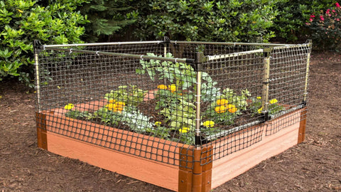 raised garden bed with flowers