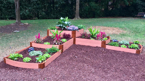 raised garden bed