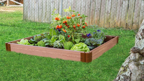 The Top 10 Best Vegetables to Grow in Raised Garden Beds – Sow Right Seeds