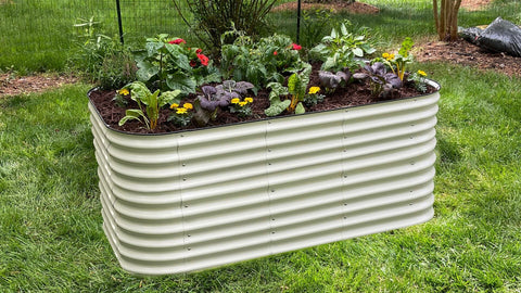 Raised Garden Beds vs. In-Ground Beds: Pros & Cons ~ Homestead and Chill