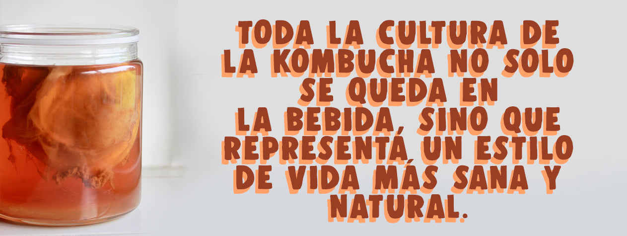 qué es el Scoby kombucha