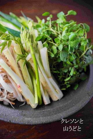 河内鴨　鴨鍋取り寄せ　鴨美味しい　鴨鍋に合う野菜