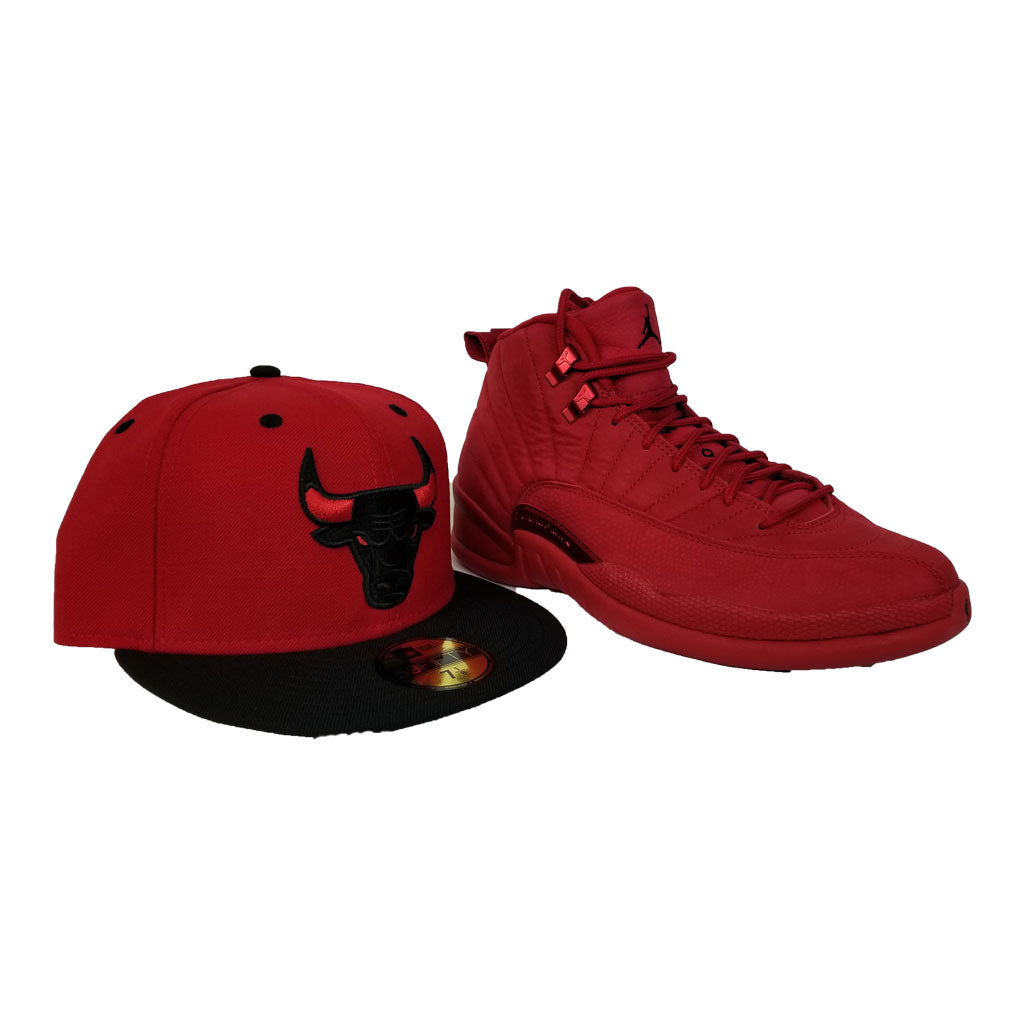 jordan 12 chicago bulls