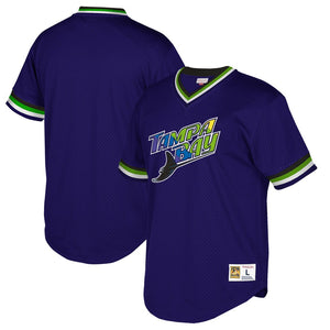 purple devil rays jersey