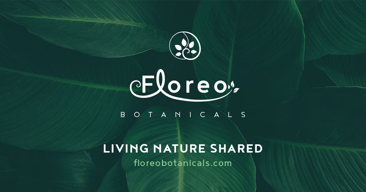 Floreo Botanicals