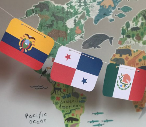 latino and hispanic flags