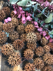 sweet gum ball seed pods