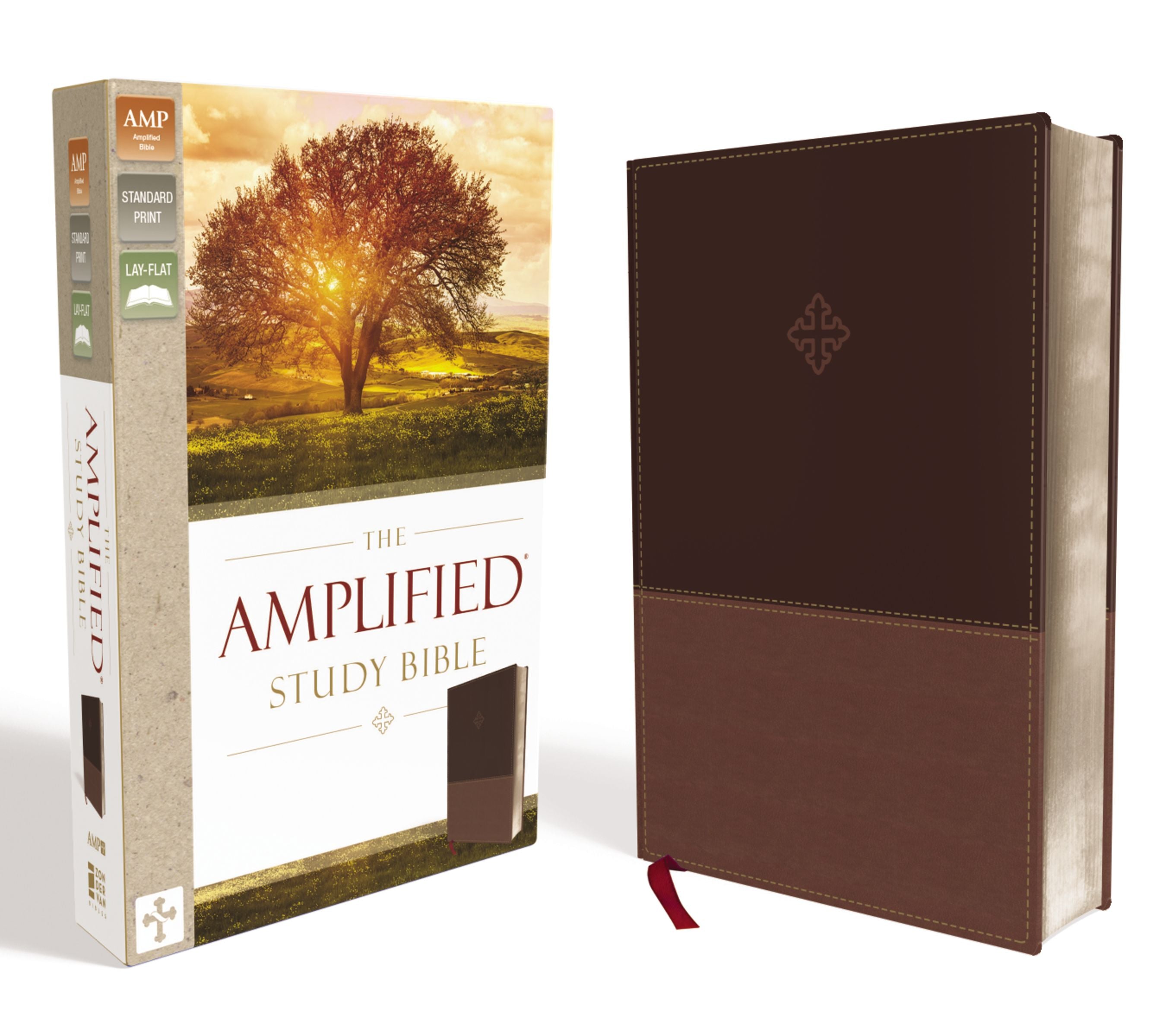 amplified-bible-urbanfaith-books-bibles