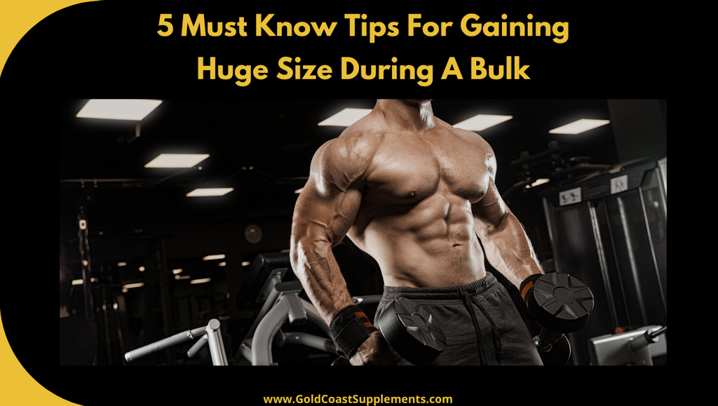 5 must know tips fo gaining huge size during a bulk