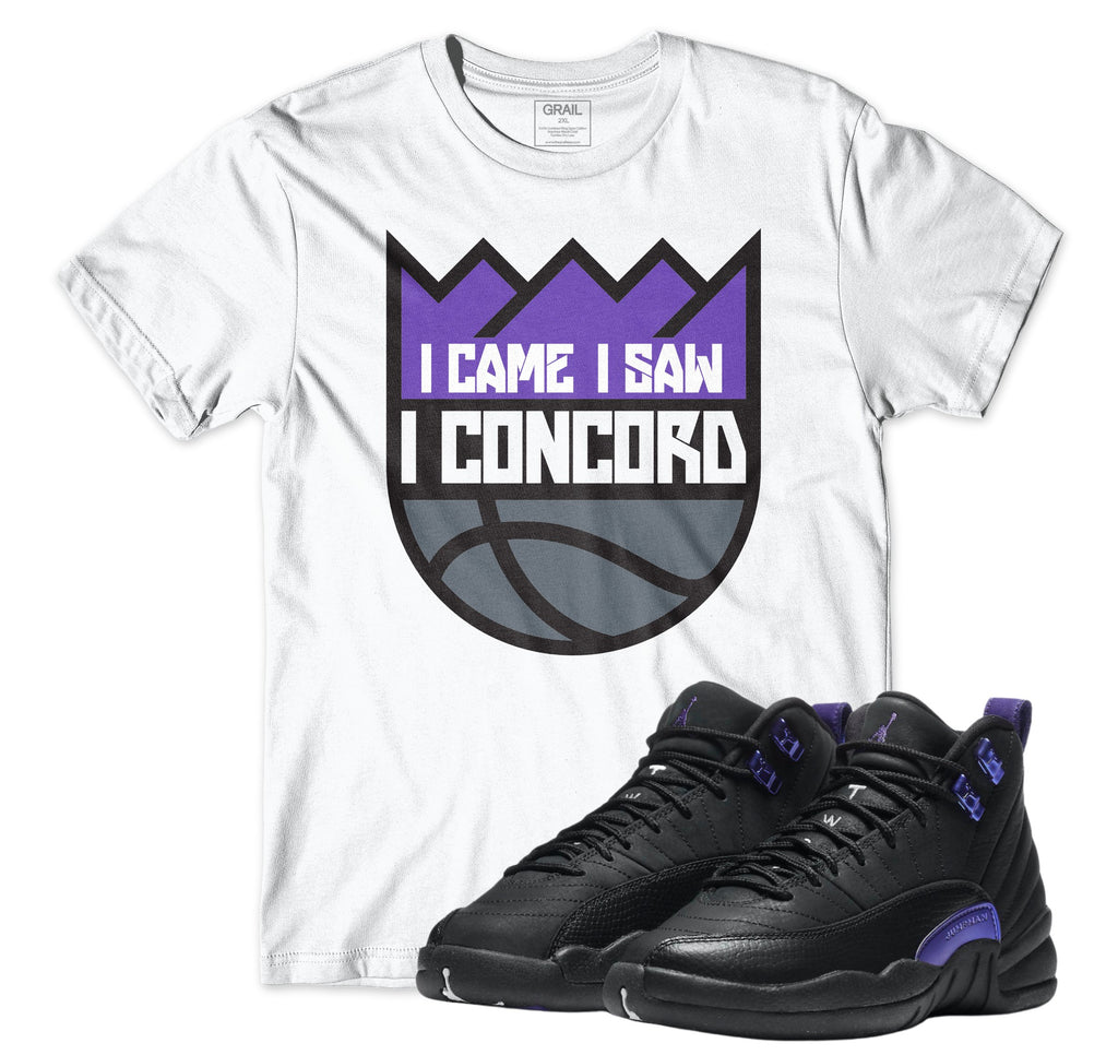 jordan 12 dark concord outfit